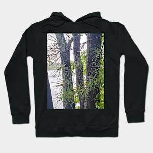 Morning Dewdrops Hoodie